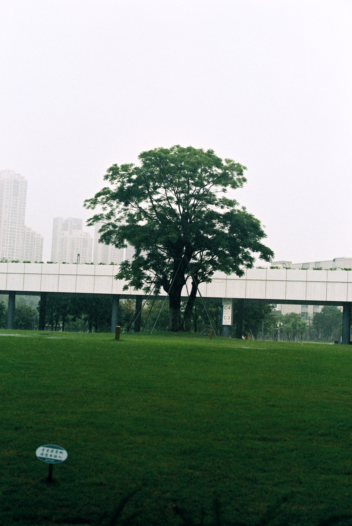 Film photo